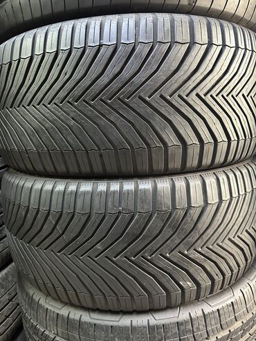 шины r19: Шиналар 255 / 50 / R 19, All-season, Колдонулган, Жуп, Жеңил унаалар, Германия, Michelin