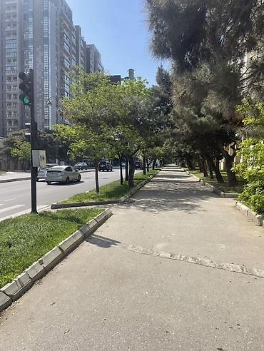 seki emlak: Salam.Vapcat aktivdir fikri ciddi olan sexslere — 3