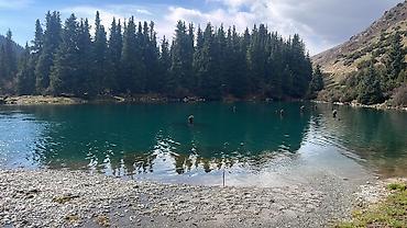 Такси: Минивэн, Пункт назначения: Каракол, Количество мест: 6 — 22