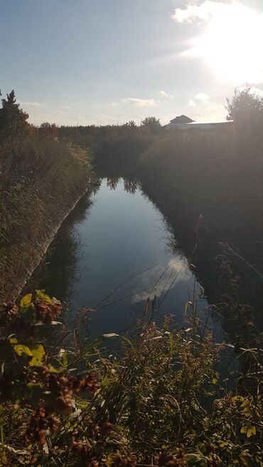 Torpaq sahələrinin satışı: 1000 sot, Kənd təsərrüfatı, Makler, Kupça (Çıxarış) — 2