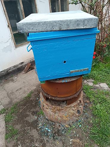 Пчелиный улей с металлической кровлей 12 рамок. дадан. в наличии 5 шт