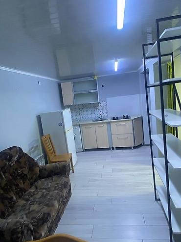 Долгосрочная аренда домов: 38 м², 1 комната, Евроремонт — 12