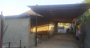 колоновидные яблони: Продаётся частный дом с ограждённым двором и удобной планировкой — 3