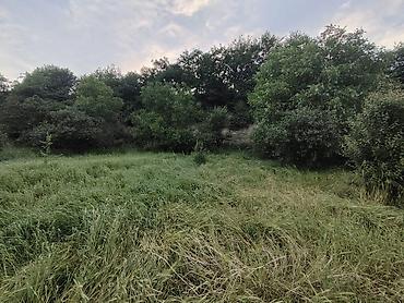 cıxarış nədir: 15 sot, Tikinti, Mülkiyyətçi, Kupça (Çıxarış) — 3