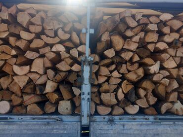 Oprema za grejanje: Ogrevno drvo – tvrde vrste, isečeno i cepano - Vrsta: tvrdo lišćarsko — 12