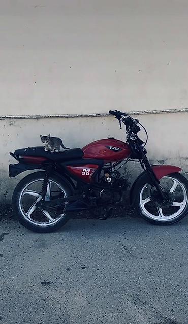mopeds: Tufan - M50, 50 sm3 — 1