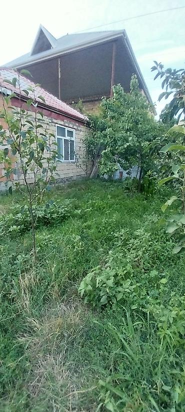 bilgəh bağ evləri: Сдадим дом семейной паре на длительный срок. Всё удобства в доме — 1