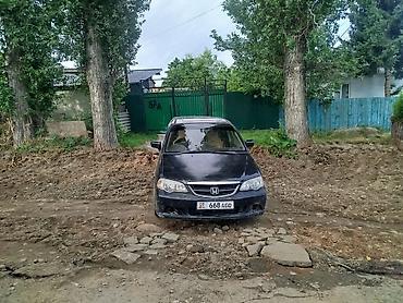 step wgn: Honda Odyssey: 2002 г., 3 л, Автомат, Бензин, Минивэн — 1