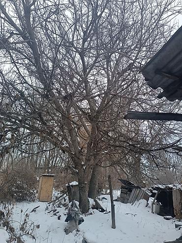 Продажа комнат: Строй материалы дом времянка из кирпича,продам нужно освободить — 3