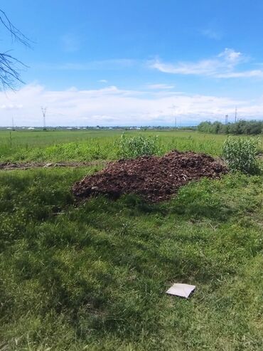 tap az zabratda torpaq satisi: 71 sot pay torpağı satılır Mingəçevir şəhəri Günəşli qəsəbəsində 16