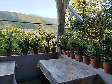 Həyət evləri və villaların satışı: 5 otaqlı, 600 kv. m — 12