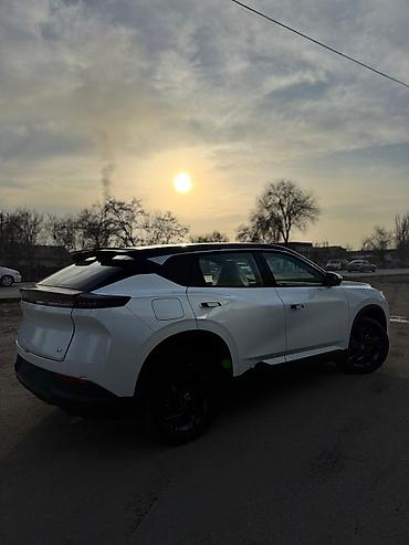 Dongfeng: Dongfeng : 2024 г., 0.1 л, Автомат, Электромобиль, Кроссовер — 11