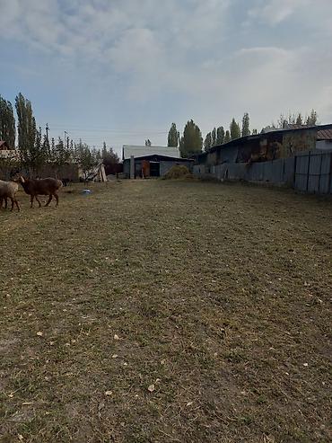 купить поле: 5 соток, Для строительства — 2
