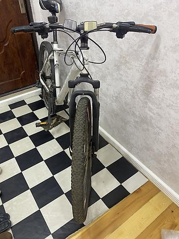 velosiped salcano: Salcano marka dağ velosipedi - Çərçivə: Alüminium, hardtail dizayn - — 2