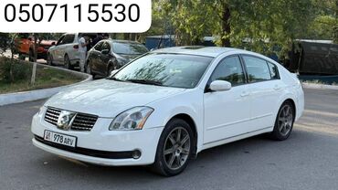 AUTOAGENT TILEK: Nissan Maxima год 2005 обьем 3/5 левый руль автомат пробег 66700 км