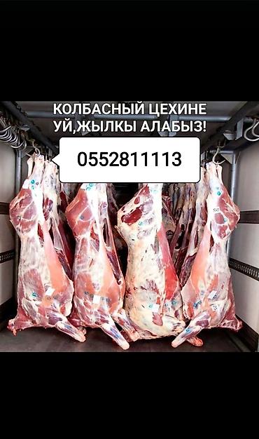 итер: Жеке жак : Уйлар, букалар, | Бордоп семиртүү үчүн — 1