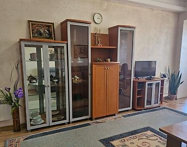 Батирлерди ижарага берүү: Сдается 2х комнатная квартира со всеми удобствами с мебелью и бытовой — 5