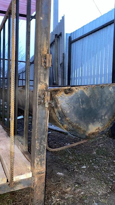 Товары и оборудование для с/х животных: Койкана койго жана козуга ылайыкташкан краскасын кылып берем 8 баш — 9