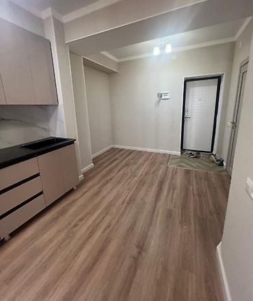 толстого: 2 комнаты, 51 м², ул. Лев Толстой 13 этаж, Евроремонт — 6