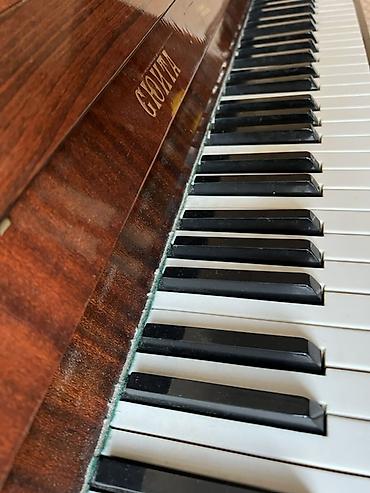 ronisch piano: Şverik sxemli vertikal piano – “СЮЙТА” (Suite) modeli - Korpus — 1