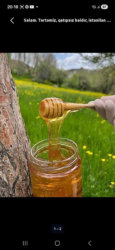 dağ balı: Məhsul: Təbii dağ balı – Zaqatala bölgəsi Təsvir: - Dağ flora­sından — 5