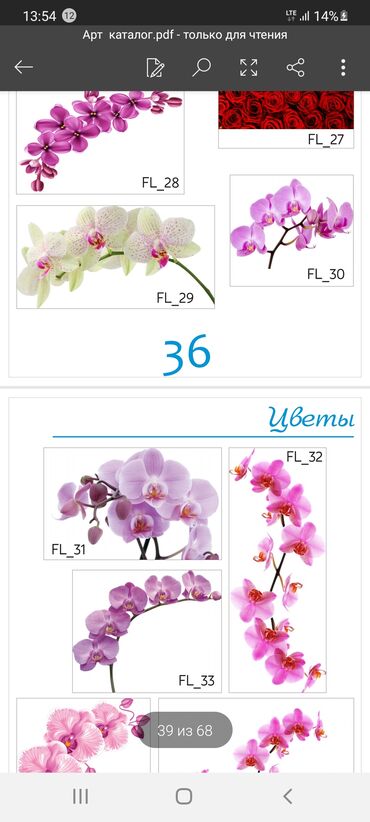 Натяжной потолок: Натяжной потолок Матовое, 3D потолки, Глянцевое — 22