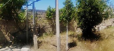albali: 5 sot, Tikinti, Kupça (Çıxarış) — 2