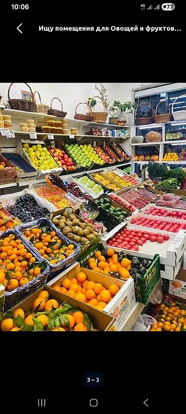 сниму помещение под автомойку: Аренда/поиск помещения для магазина овощей и фруктов Ищем помещение — 1