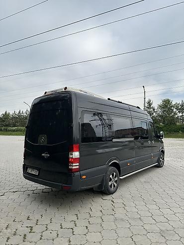 морда: Mercedes-Benz Спринтер: 2012 г., 3.2 л, Механика, Дизель, Бус — 6