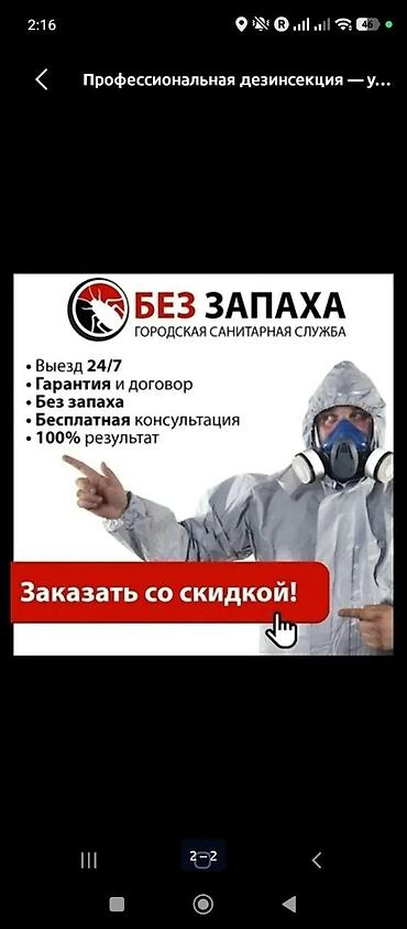 дезинфекция: Дезинфекция, дезинсекция, | Клопы, | Офисы — 2