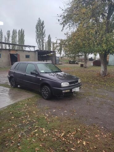 golf 1: Volkswagen Golf: 1993 г., 1.6 л, Механика, Бензин, Хэтчбэк