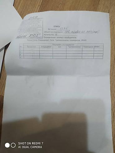 Молочные продукты и яйца: Домашнее Козье молоко. Экологически чистый продукт. Находимся в — 5