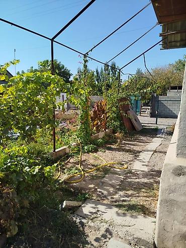 Продажа дач: Город Токмак дача 1 вода свет всё есть — 10