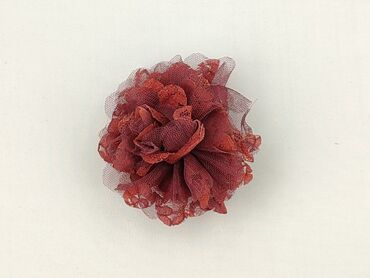 Hair clip, Female, condition - Perfect