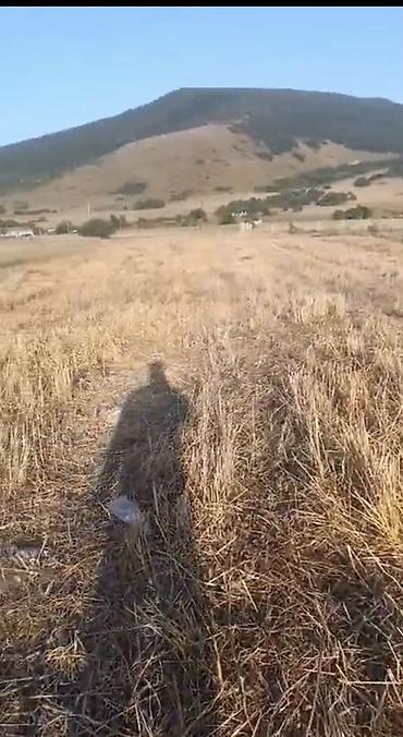 pirallahi emlak: 392 sot, Kənd təsərrüfatı, Kupça (Çıxarış) — 3