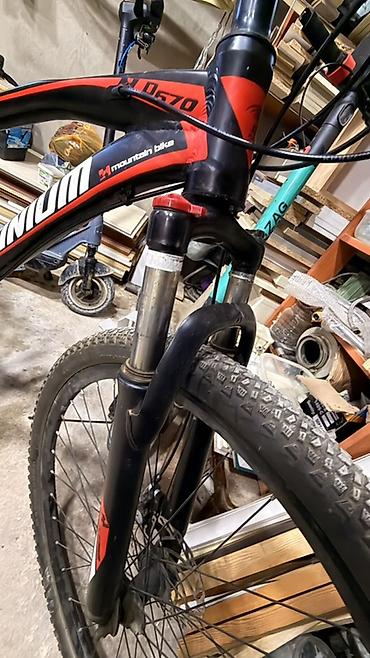 Dağ velosipedləri: PLATINUM dağ velosipedi - Çərçivə: yüngül alüminium alaşımlı, birbaşa — 7