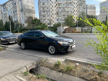 торта камри: Toyota Camry: 2016 г., 2.5 л, Автоматические, Бензин, Седан