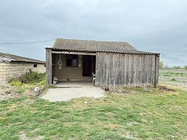 Torpaq sahələrinin satışı: 3000 sot — 2