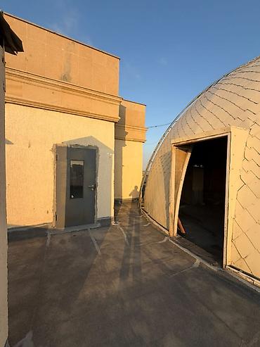 разин: 3 комнаты, Новостройка, 240 м² — 8