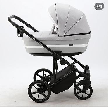 Araba-beşiklər: Adamex, Yeni — 5