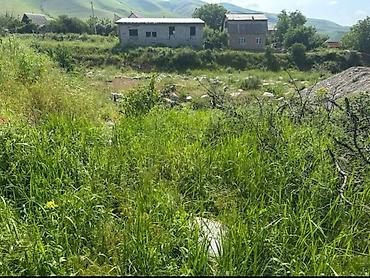 5 соток, Айыл чарба үчүн, Сатып алуу-сатуу келишими, Кызыл китеп — 2