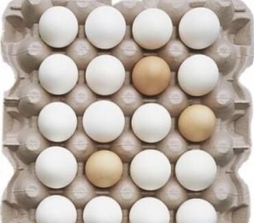 yumurta satışı: Salam aleykum sibraytyaponkaavstrolop heyratıkayuqa ördəyi