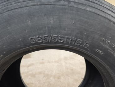шины 255 50 19: 385/55R 19.5 1шт