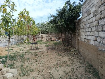 xacmazda torpaq satilir: 2 sot, Tikinti, Barter mümkündür, Bələdiyyə