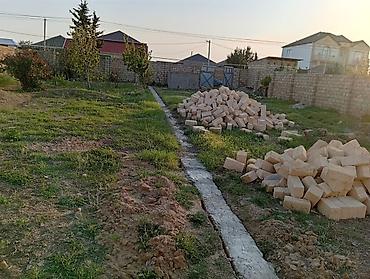 savalan torpag: Tikinti, Kupça (Çıxarış) — 7
