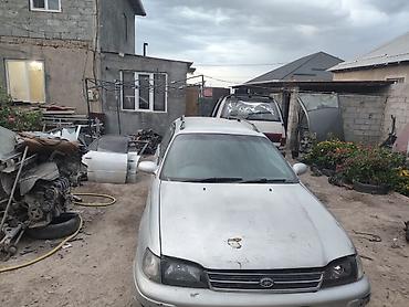 camri 70: Toyota Camry Gracia универсал (правый руль), серебристый цвет. Кузов — 1