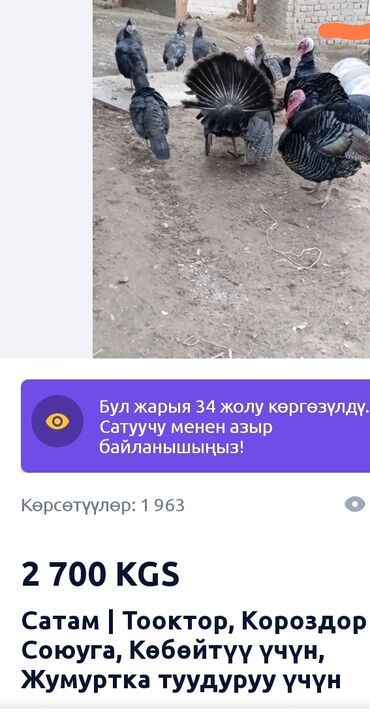 Поделки из автошин