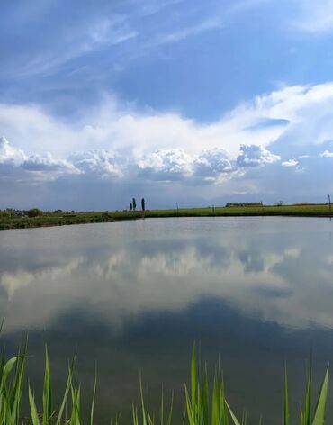 Продажа участков: 600 соток, Для бизнеса, Красная книга — 33