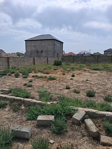 mehemmedi torpaq satilir: Tikinti, Mülkiyyətçi, Kupça (Çıxarış) — 2