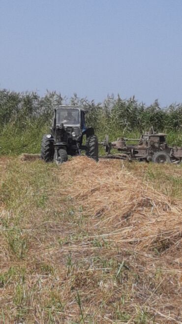 traxdır 82: Traktor Belarus (MTZ) BELARUS, 1990 il, 80 at gücü, motor 0.3 l, Yeni